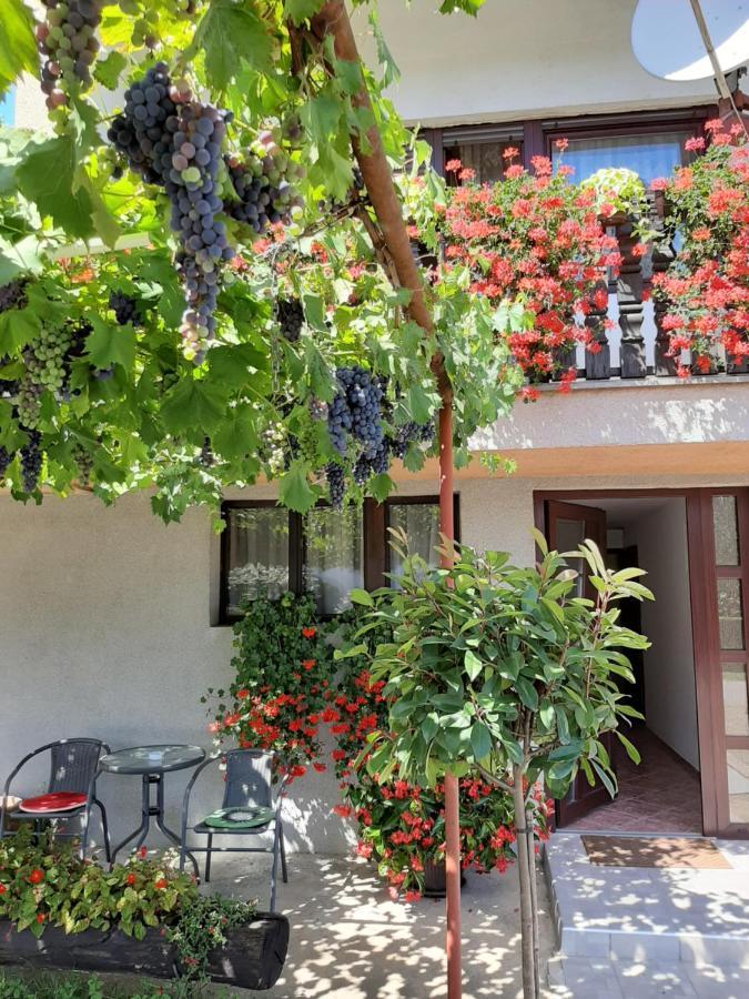Apartment Vir Karlovac Exterior photo